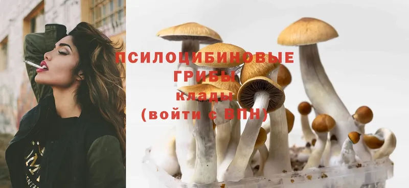 Псилоцибиновые грибы MAGIC MUSHROOMS Красный Кут