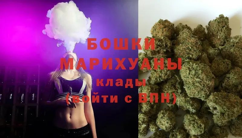 Бошки марихуана Amnesia  купить   Красный Кут 